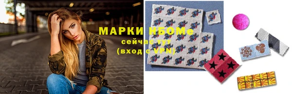 твердый Новодвинск