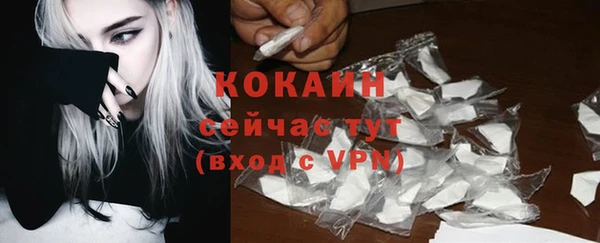 твердый Новодвинск
