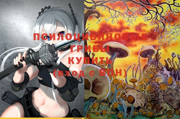 твердый Новодвинск