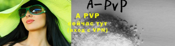 твердый Новодвинск
