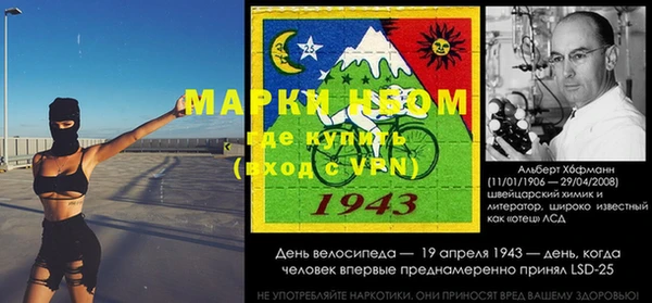 хмурый Новозыбков
