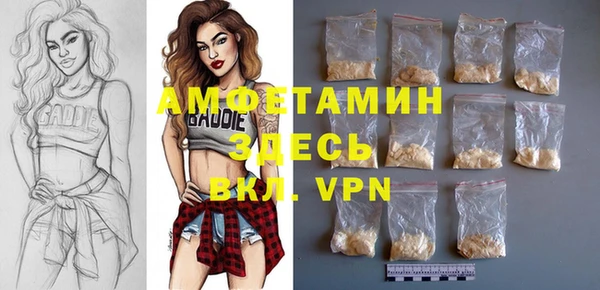 хмурый Новозыбков