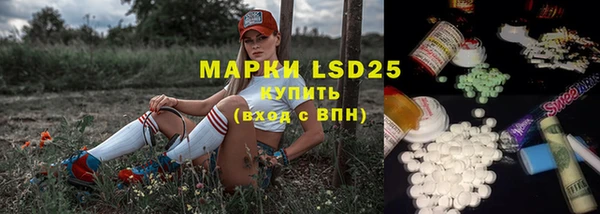 хмурый Новозыбков