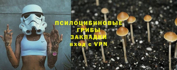 хмурый Новозыбков