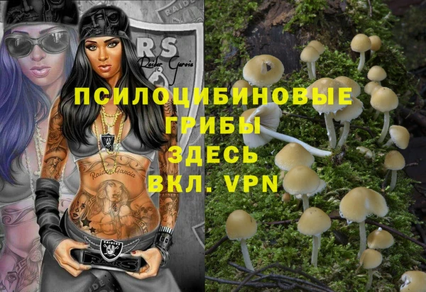 твердый Новодвинск