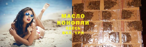 хмурый Новозыбков