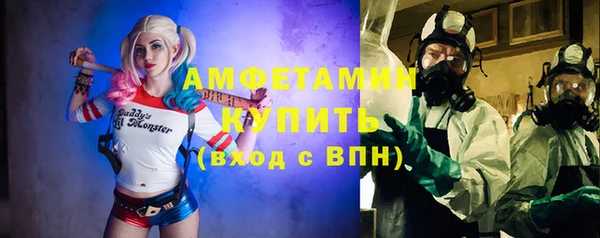 хмурый Новозыбков