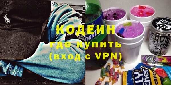 твердый Новодвинск
