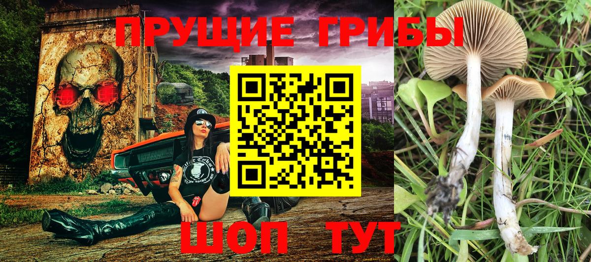Альфа ПВП  Тверь  Конопля  Купить наркоту  Вход с VPN  Мефедрон  Кокаин 