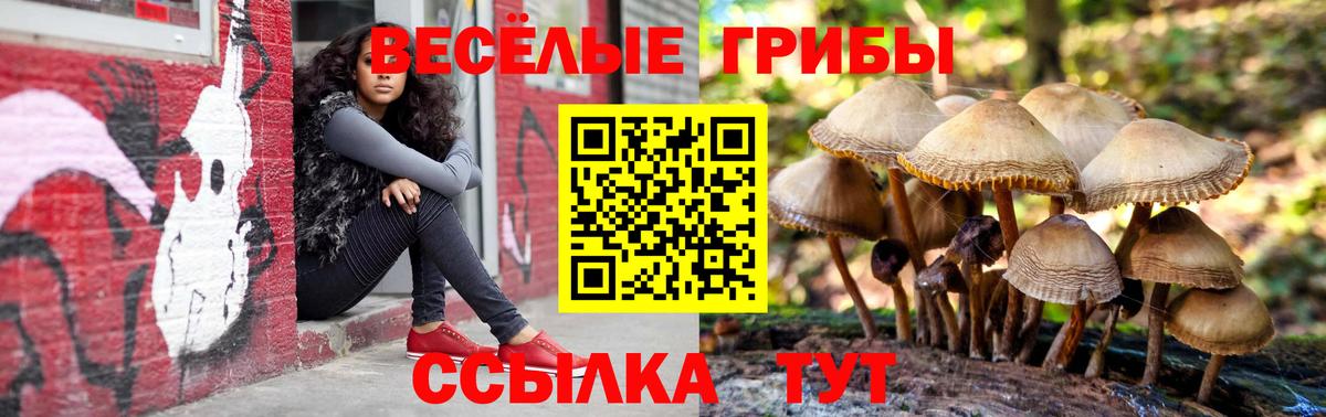 Галлюциногенные грибы мицелий Тверь